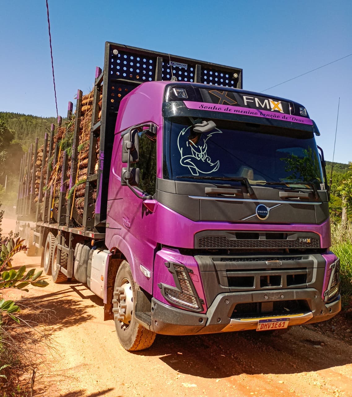 Caminhão da frota DMV Pica-Pau para transporte de madeira - Itapeva SP 3